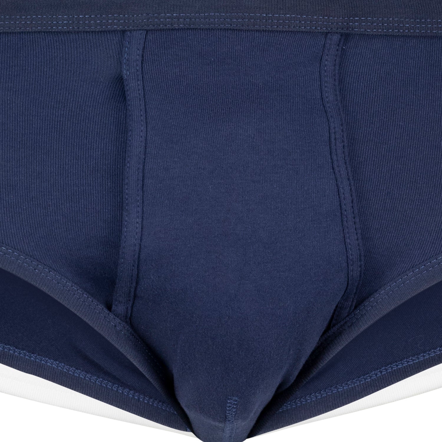 ROYAL fine rib briefs